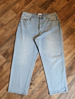 👖Lane Bryant Signature Fit Mid Rise Loose Straight Leg Jeans